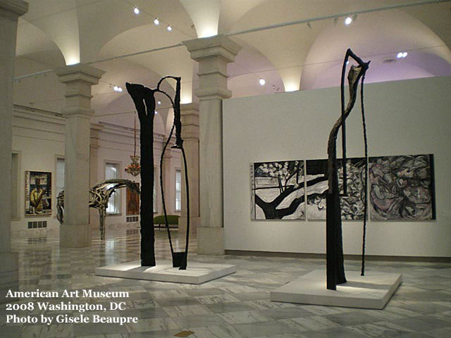 American Art Museum, Washington DC 2008