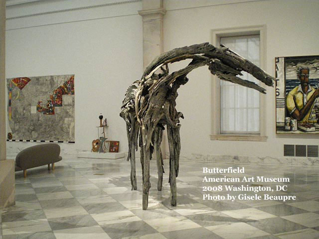 American Art Museum, Washington DC 2008