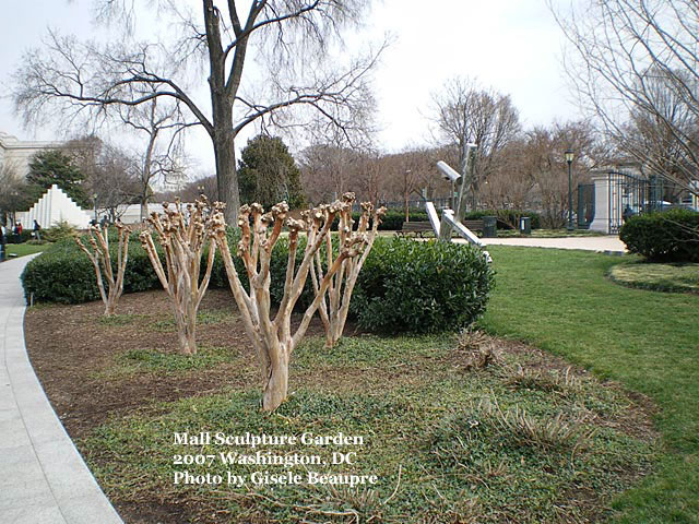 Central Mall Sculpture Garden, Washington DC 2008