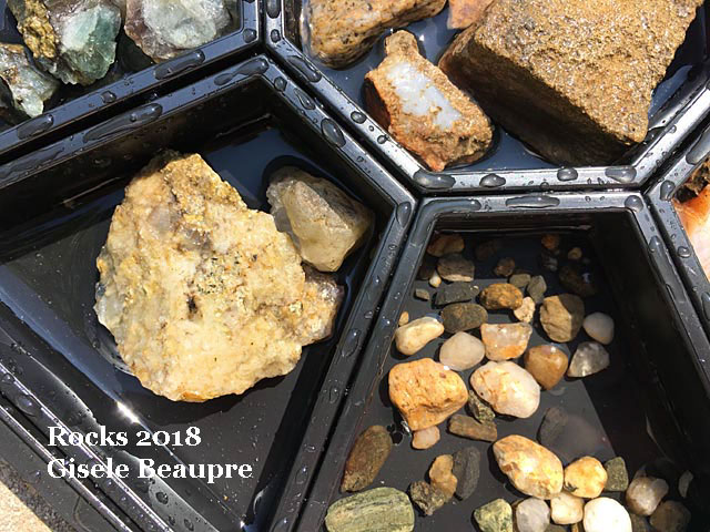 Vernon - Rockhounding 2018