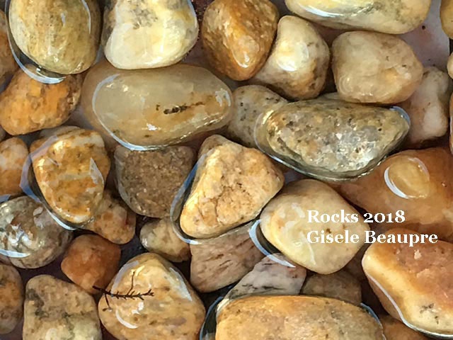 Vernon - Rockhounding 2018