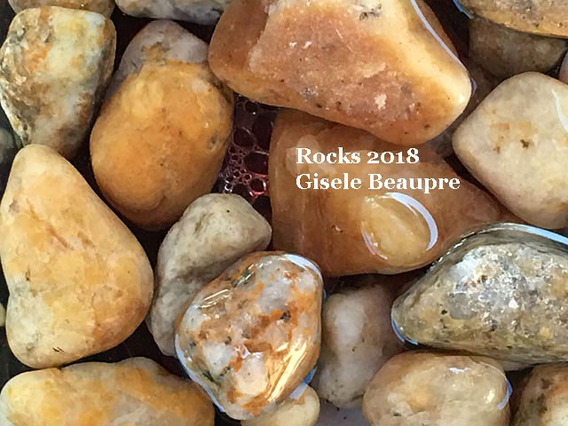 Vernon - Rockhounding 2018