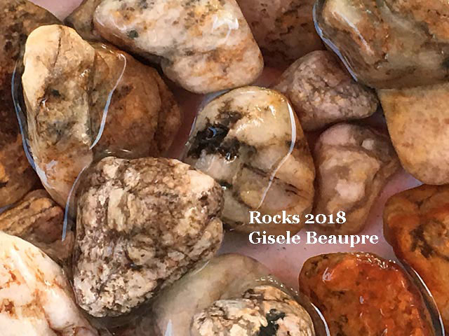 Vernon - Rockhounding 2018