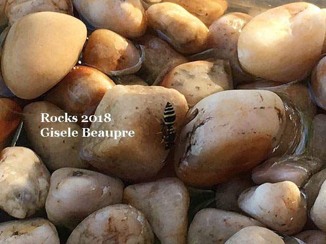 Vernon - Rockhounding 2018