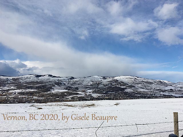 The Hills of Vernon, BC Feb. 2020 horizontal