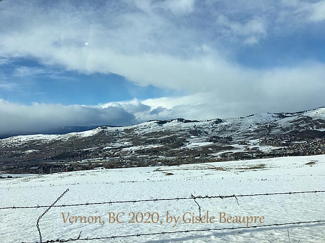 The Hills of Vernon, BC Feb. 2020 horizontal