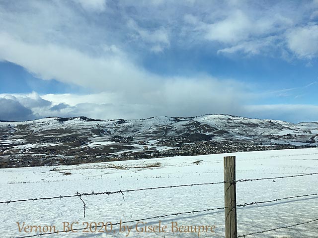 The Hills of Vernon, BC Feb. 2020 horizontal