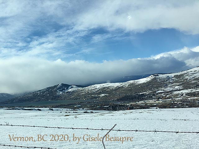 The Hills of Vernon, BC Feb. 2020 horizontal