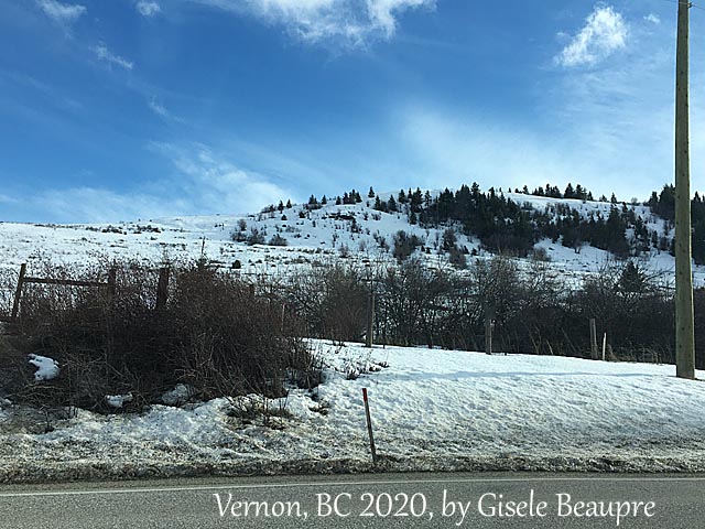 The Hills of Vernon, BC Feb. 2020 horizontal