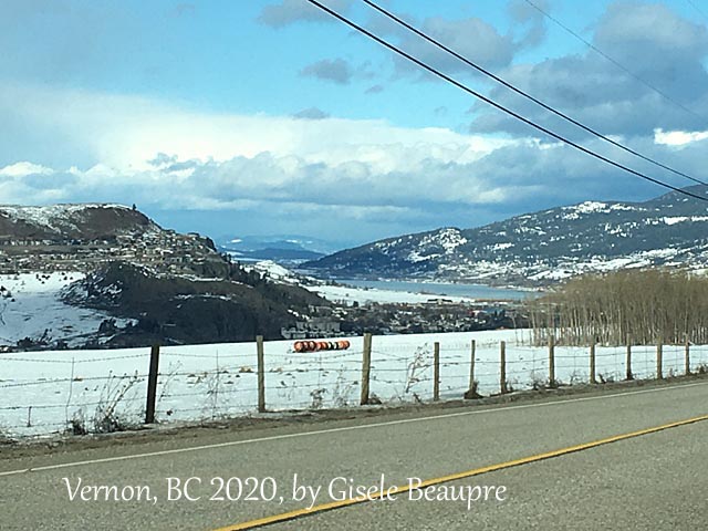 The Hills of Vernon, BC Feb. 2020 horizontal