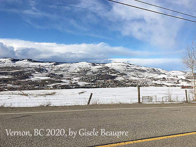 The Hills of Vernon, BC Feb. 2020 horizontal