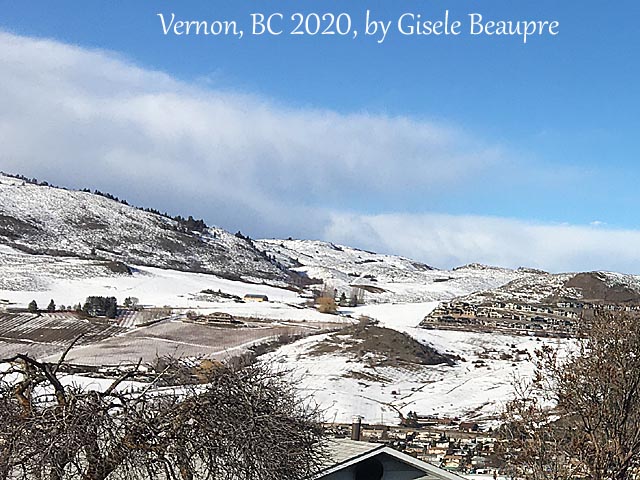 The Hills of Vernon, BC Feb. 2020 horizontal