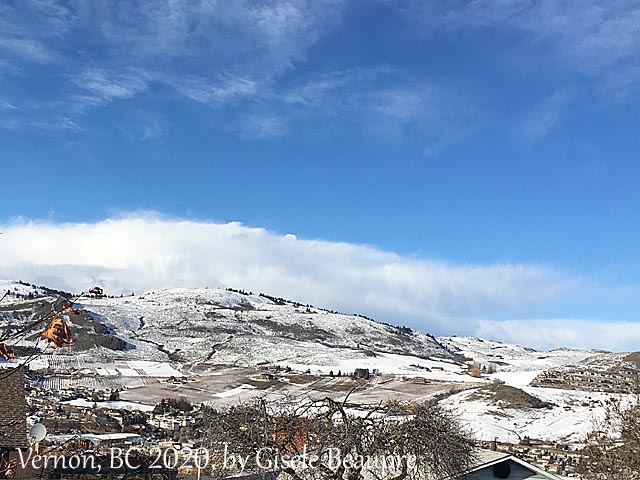 The Hills of Vernon, BC Feb. 2020 horizontal