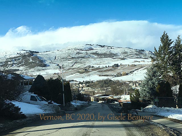 The Hills of Vernon, BC Feb. 2020 horizontal