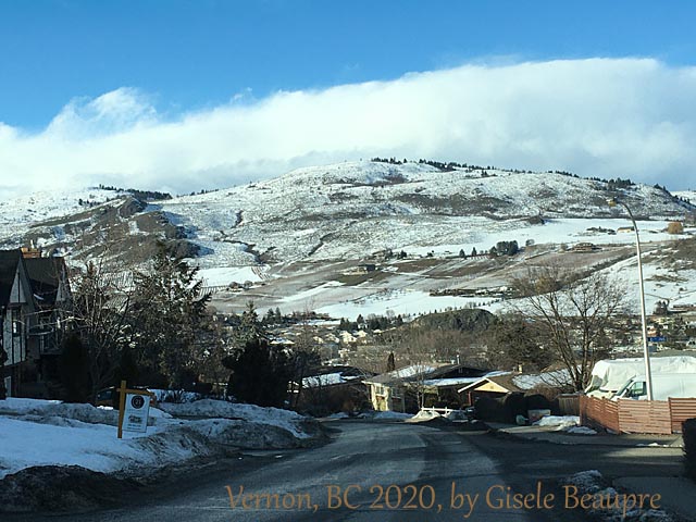 The Hills of Vernon, BC Feb. 2020 horizontal