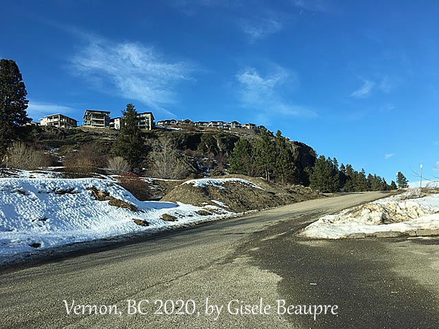 The Hills of Vernon, BC Feb. 2020 horizontal