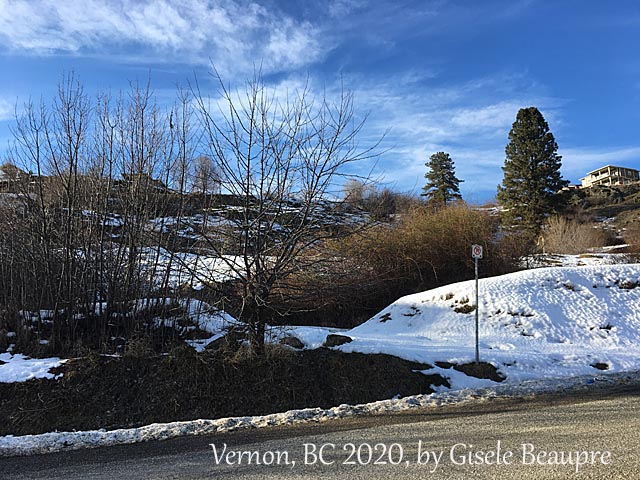 The Hills of Vernon, BC Feb. 2020 horizontal