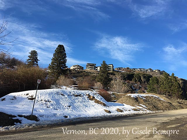 The Hills of Vernon, BC Feb. 2020 horizontal