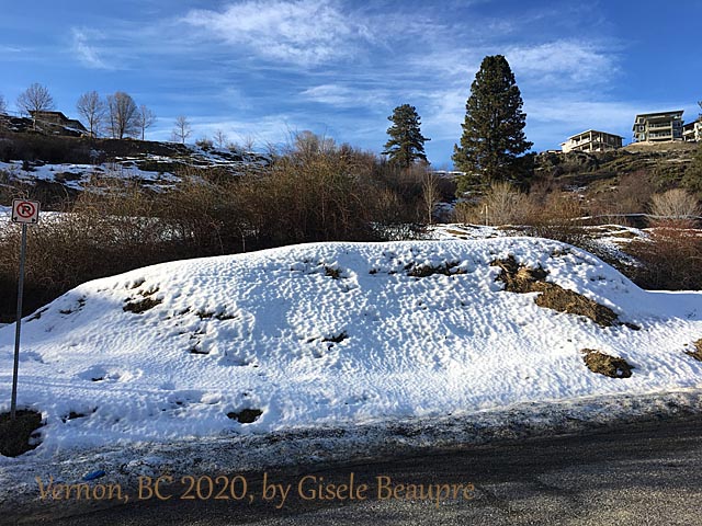 The Hills of Vernon, BC Feb. 2020 horizontal