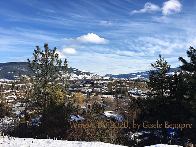 The Hills of Vernon, BC Feb. 2020 horizontal