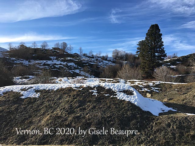 The Hills of Vernon, BC Feb. 2020 horizontal