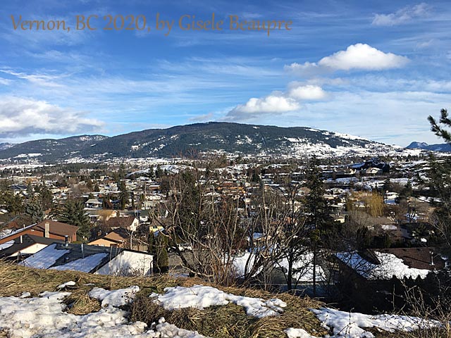 The Hills of Vernon, BC Feb. 2020 horizontal