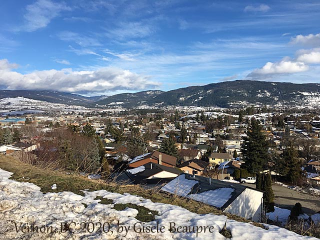 The Hills of Vernon, BC Feb. 2020 horizontal