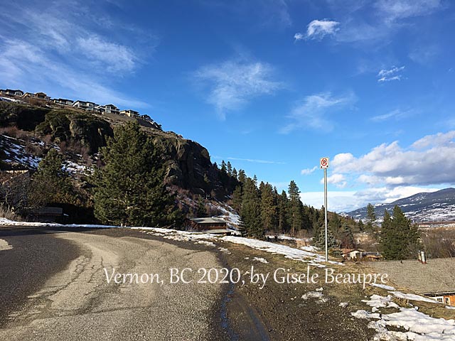 The Hills of Vernon, BC Feb. 2020 horizontal