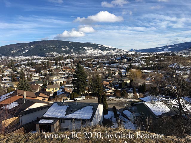 The Hills of Vernon, BC Feb. 2020 horizontal