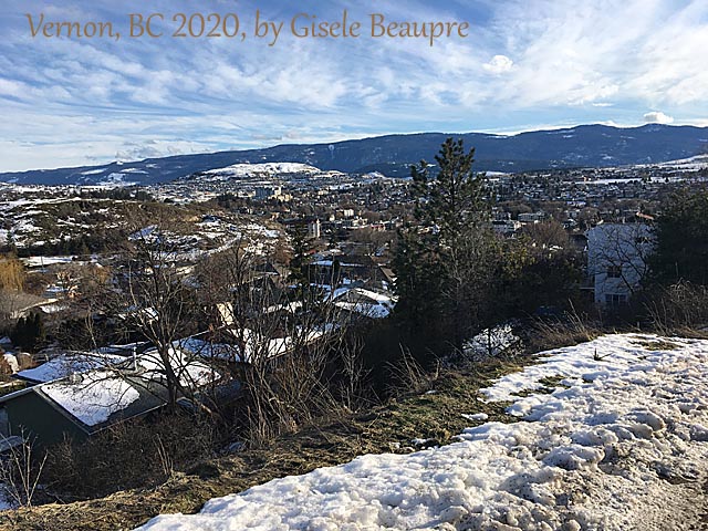 The Hills of Vernon, BC Feb. 2020 horizontal